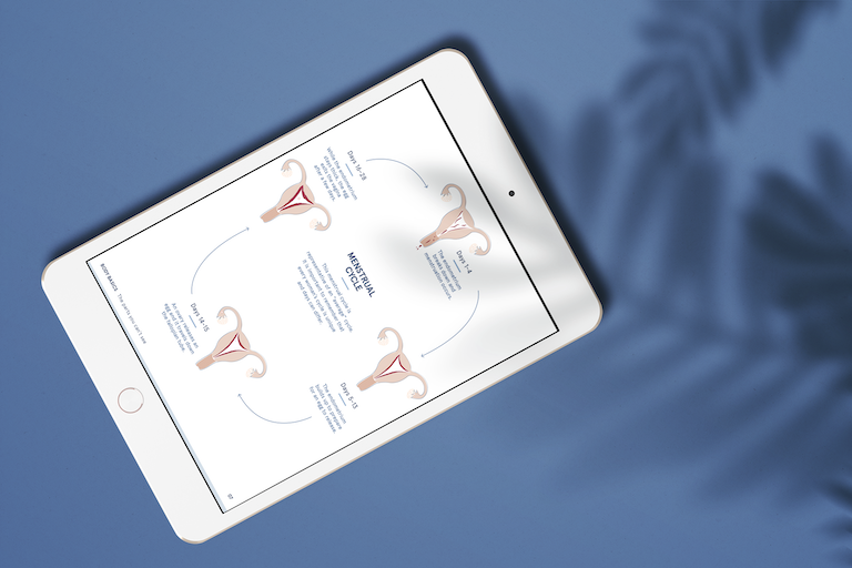 First Period Guide | LOLA