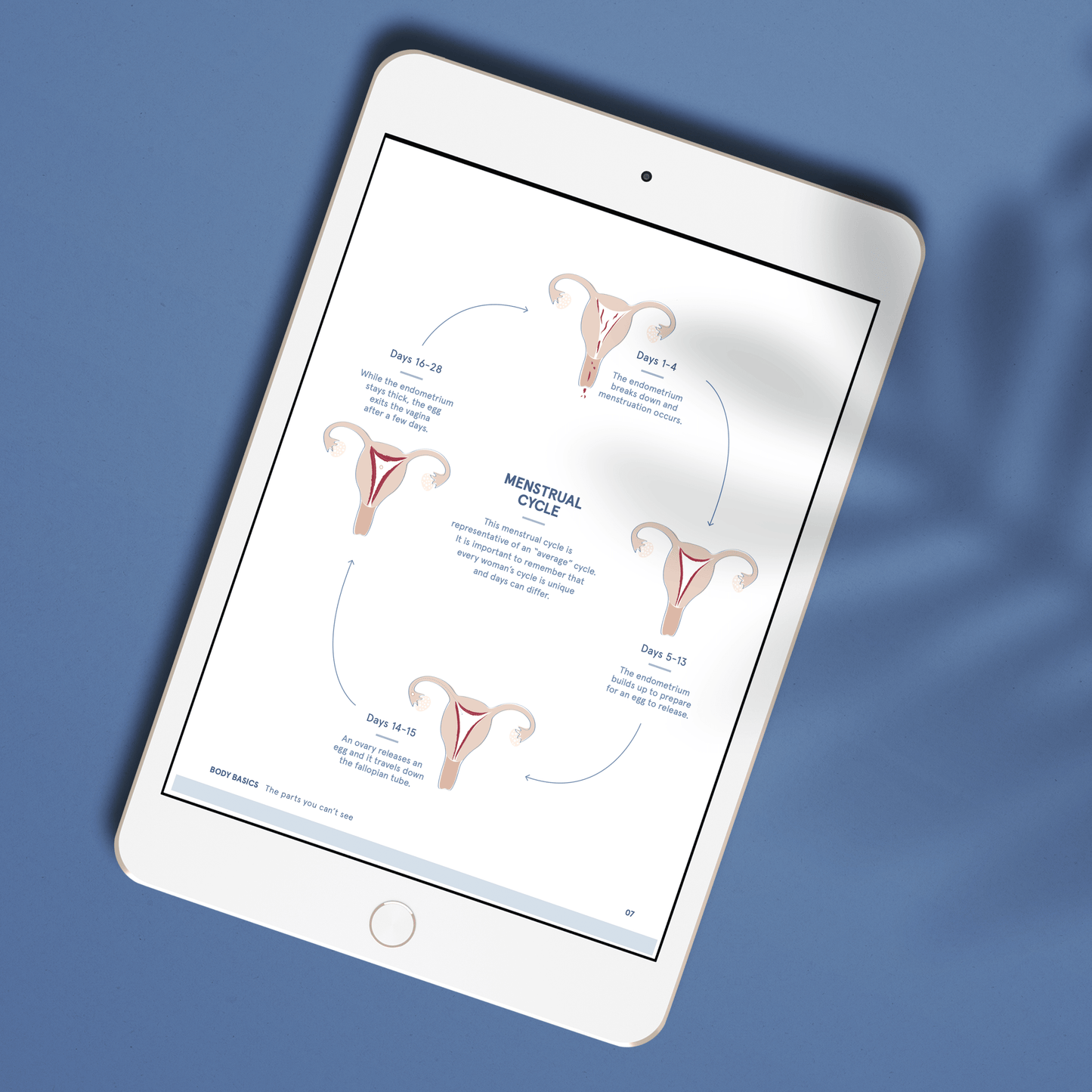 First Period Guide | LOLA